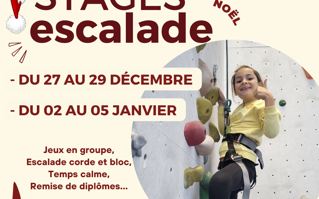 Stages escalade