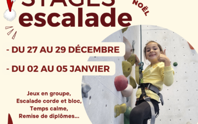 Stages escalade